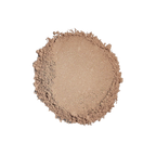 Sunforgettable Total Protection Brush-On Shield SPF50 - BRONZE
