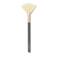 Fan Brush