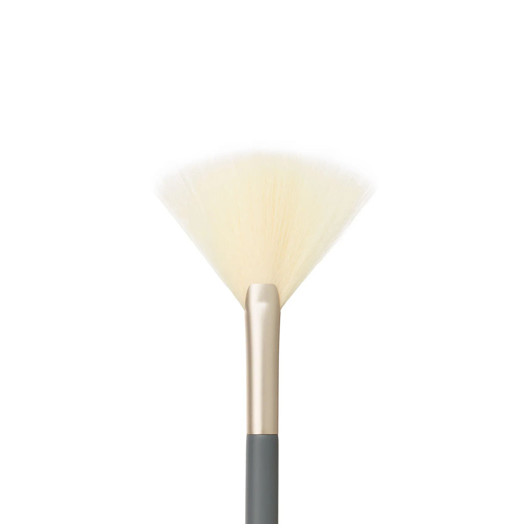 Fan Brush